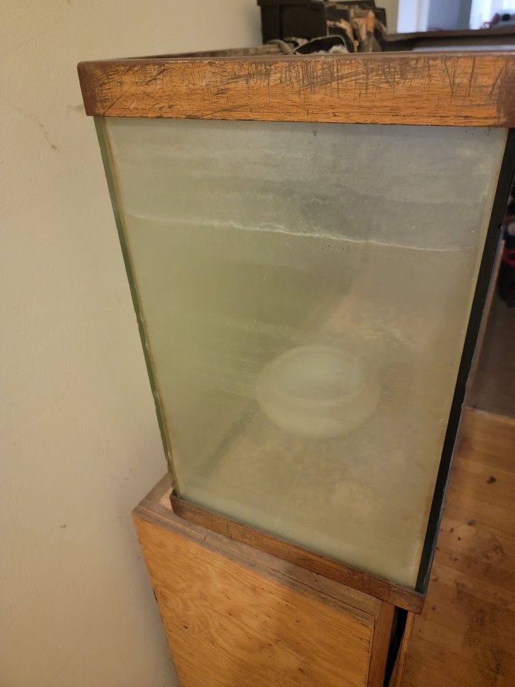 90 Gallon Fish Tank