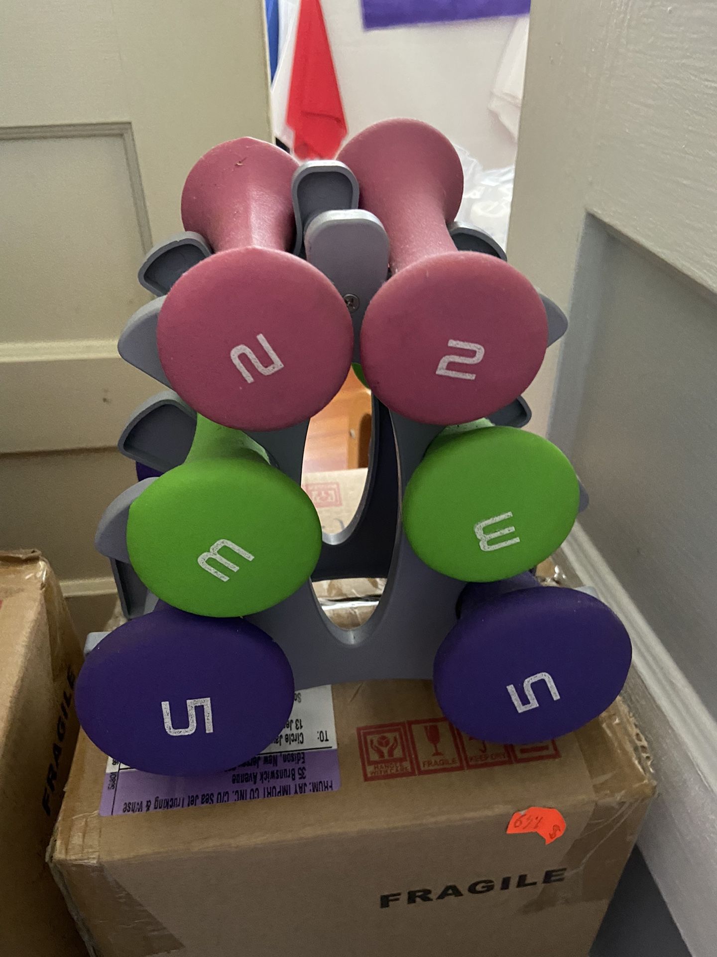 Women Dumbbells Two Three And Five Pounds