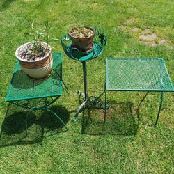 😍 👌  SET TABLE AND  PLANT REAL   COLOR PLANT RED❤😍⚘ 