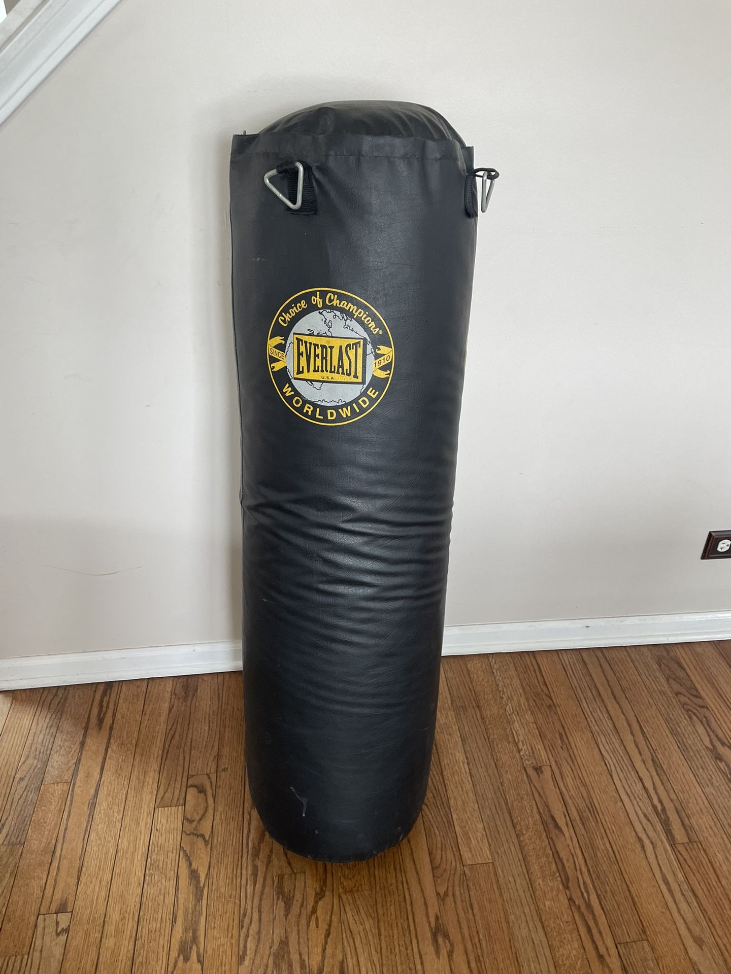 Everlast punching bag