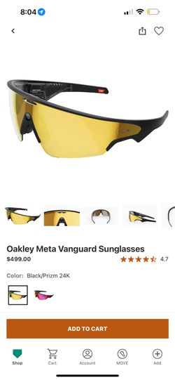 meta glasses