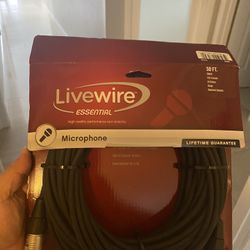 speaker or audio wire  