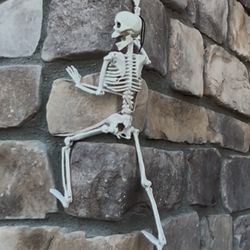Lot Plastic Skeletons Decor Halloween Decoration Large Small Dog Skeleton Assorted