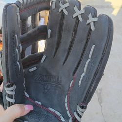 Rawlings glove