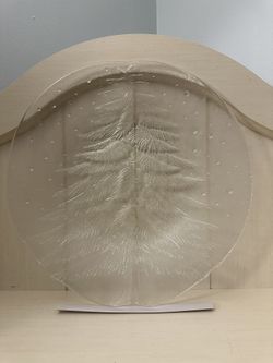 Mikasa Crystal  🌲 Tree Serving Platter 