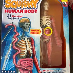 Squishy Human Body