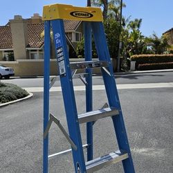 Werner 6' Fiberglass Ladder
