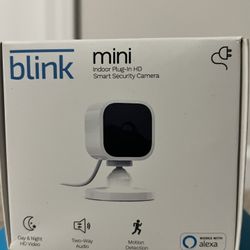 Blink Security Camera