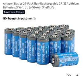 Amazon Basics 24-Pack