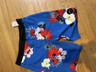 RVCA Boardshorts Like New
