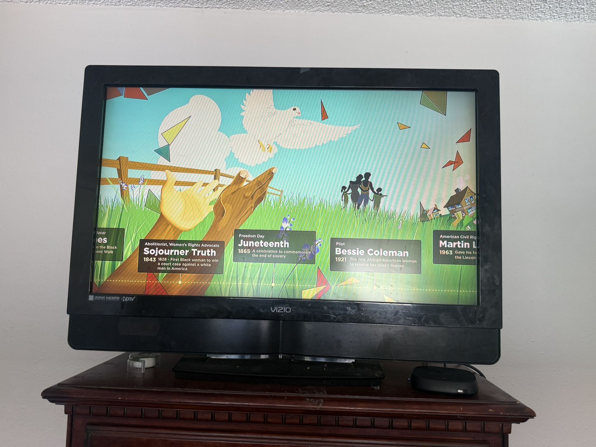 Vizio Roku Tv