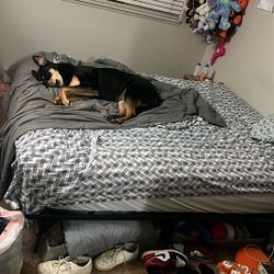 Solid Bed/ Wanting To Swap Queen Or Upgrade To King