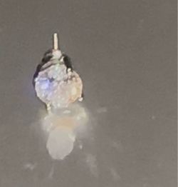 Diamond Earring $230 1 carat 14k white gold round solitaire stud four prong setting with screw back