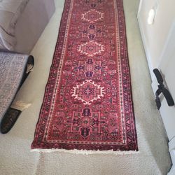 Chandigarh 100% Wool