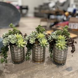 Faux Plant decor