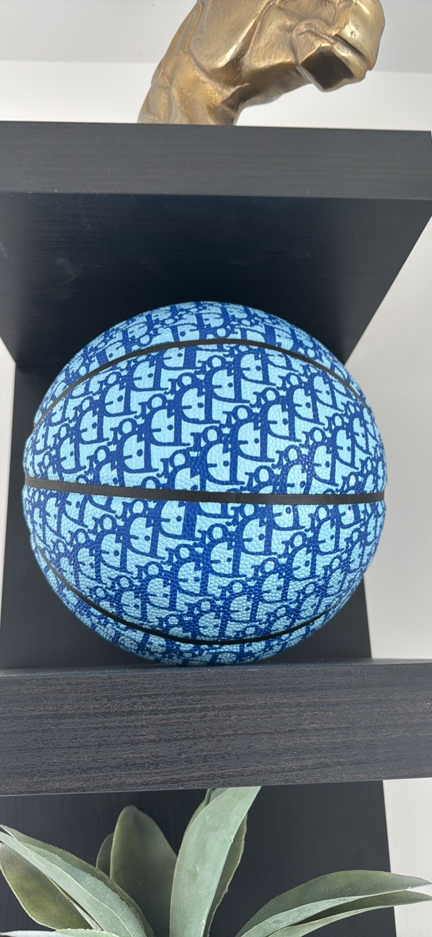 Dior Basketball