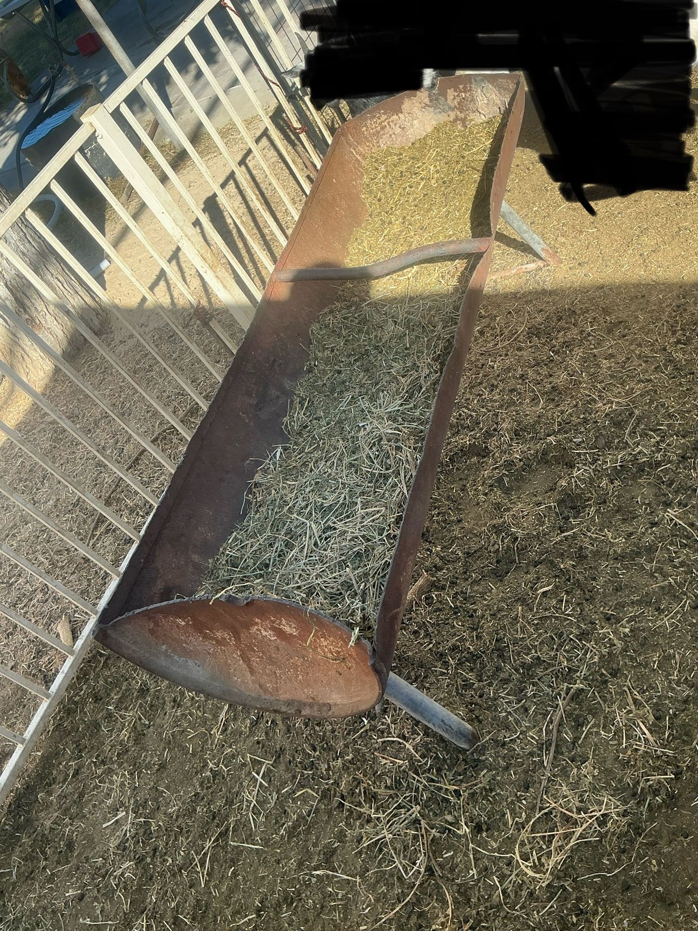 One Goat Buck And One Weather Goat And Fence /feeder/tank 110 Gallon