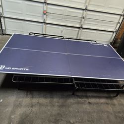 Ping pong table