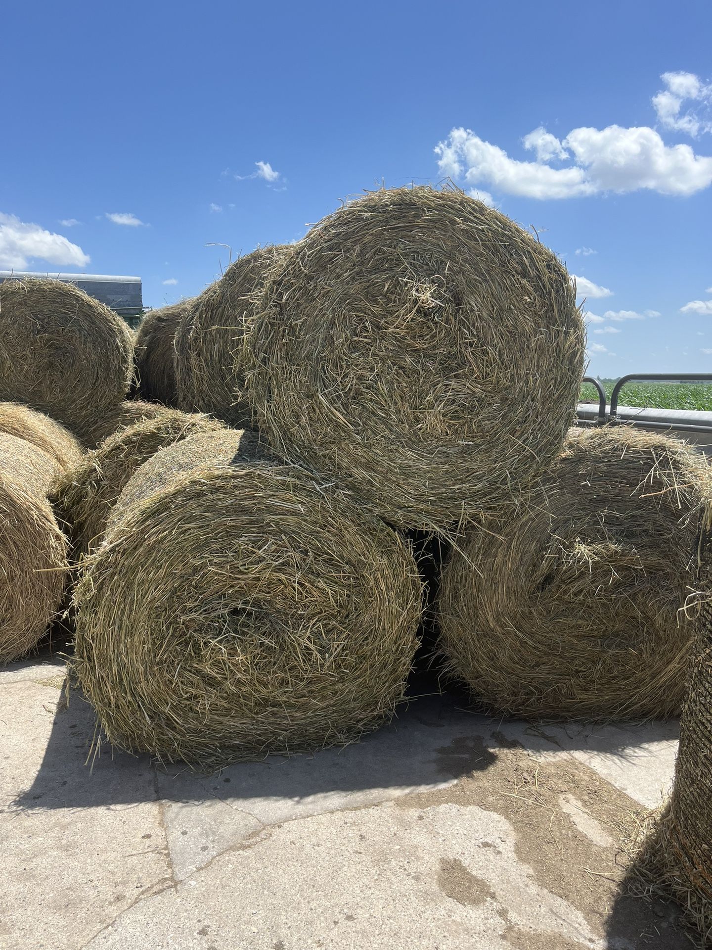 Alfalfa/ Grass Hay Round Bales
