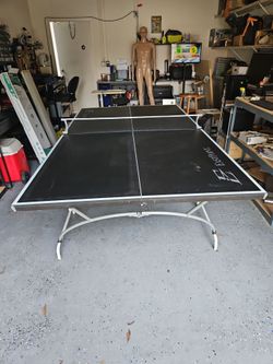 Ping Pong Table