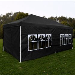 10x20 Canopy and  Sidewalls with Windows