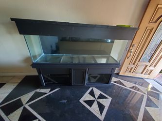 Aquarium Fish Tank. Top Tank Is 130 Gallon. 2x Bottom Tank Is 29 Gallon. With Stand And Canopy Totall 74in Long. 21in Deep. 58in Tall