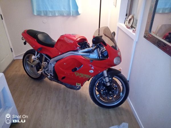 Triumph daytona 955i