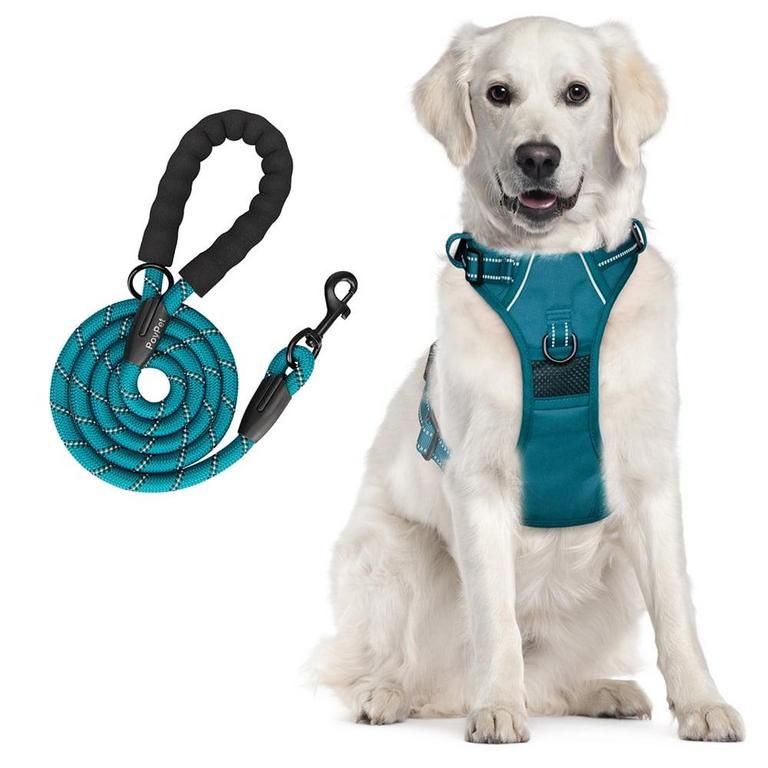 Medium Pet Harness