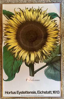 JUST DROPPED THE PRICE!!! Must Sell! Price Dropped! Beautiful! Rare German Horticulture Print