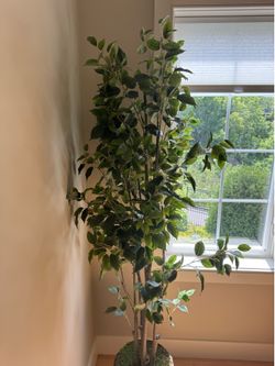 Ficus Tree-Artificial 6’