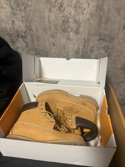 Timberland Premium 6in