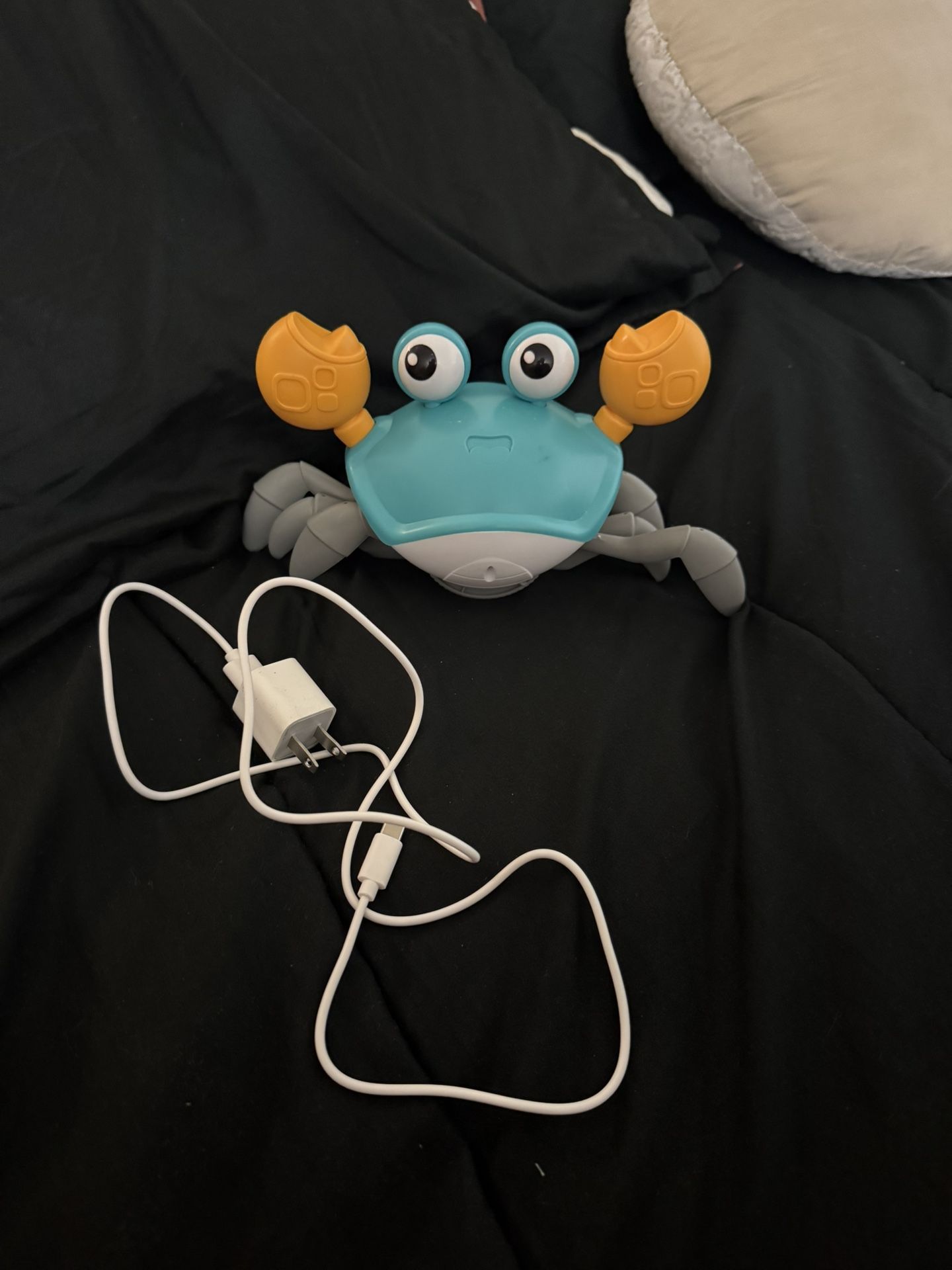 Baby crab toy