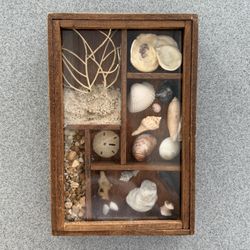 Vintage Seashell Shadow Box