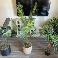 Faux Plants – Like New, Moving Sale