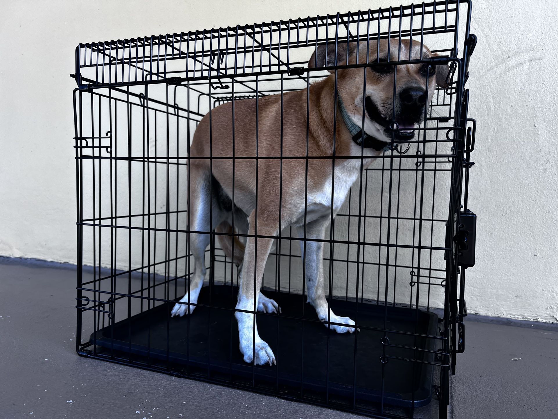Metal Dog Crate Kennel
