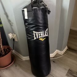 Punching Bag 