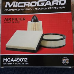 AUTO AIR FILTER 