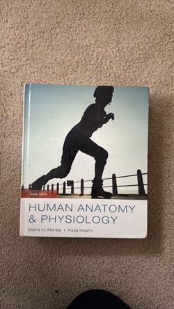 Anatomy and physiology