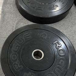 Rogue bumper plates 2-45’s