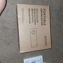 Projector