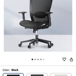 Ergonomic Office Chair
