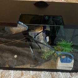 Aquarium Tank And Supplies