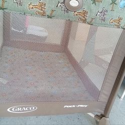 Pack N Play 