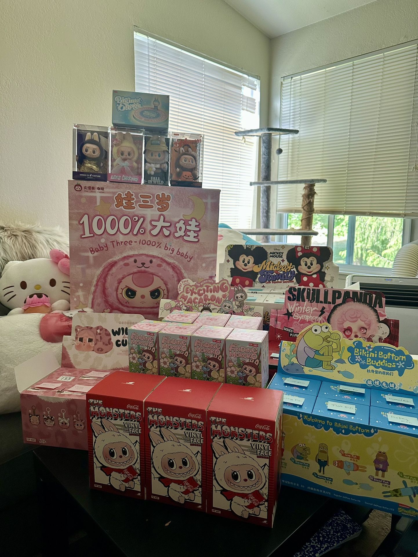 POPMART Confirmed Boxes. Labubu, Bikini bottom, Skull Panda, Mickey And family, Wild But Cities