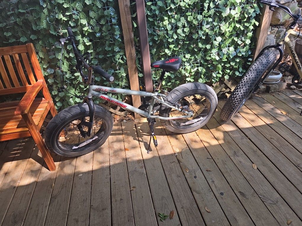 Youth Mongoose Argus