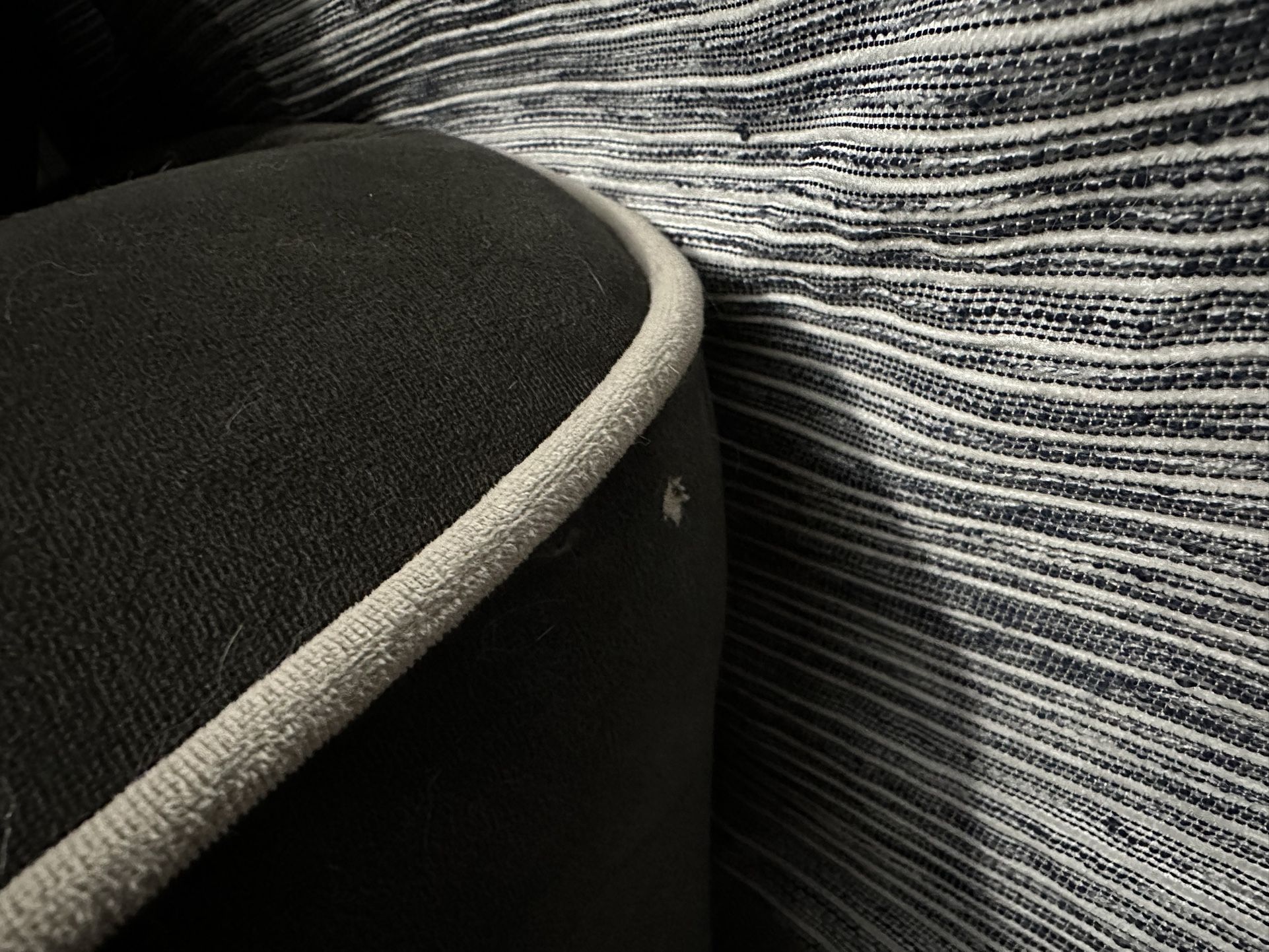 Comfy Grey Loveseat