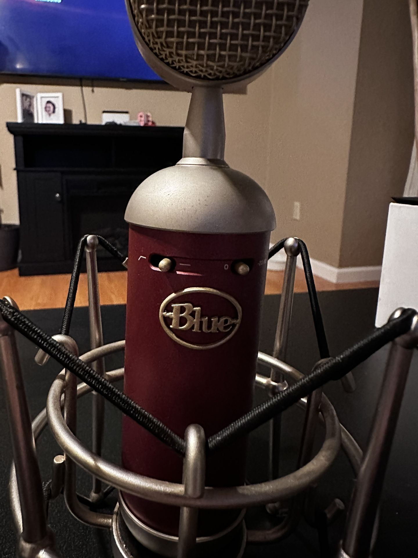 $24 Microphone w/ Stand