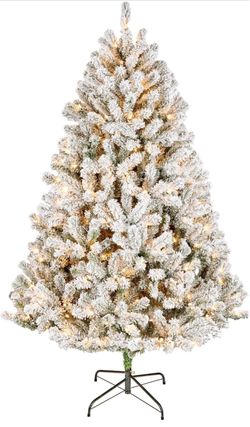 National Tree Company 6ft Pre-Lit Flocked Acacia Artificial Christmas Tree