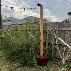 String Light Post