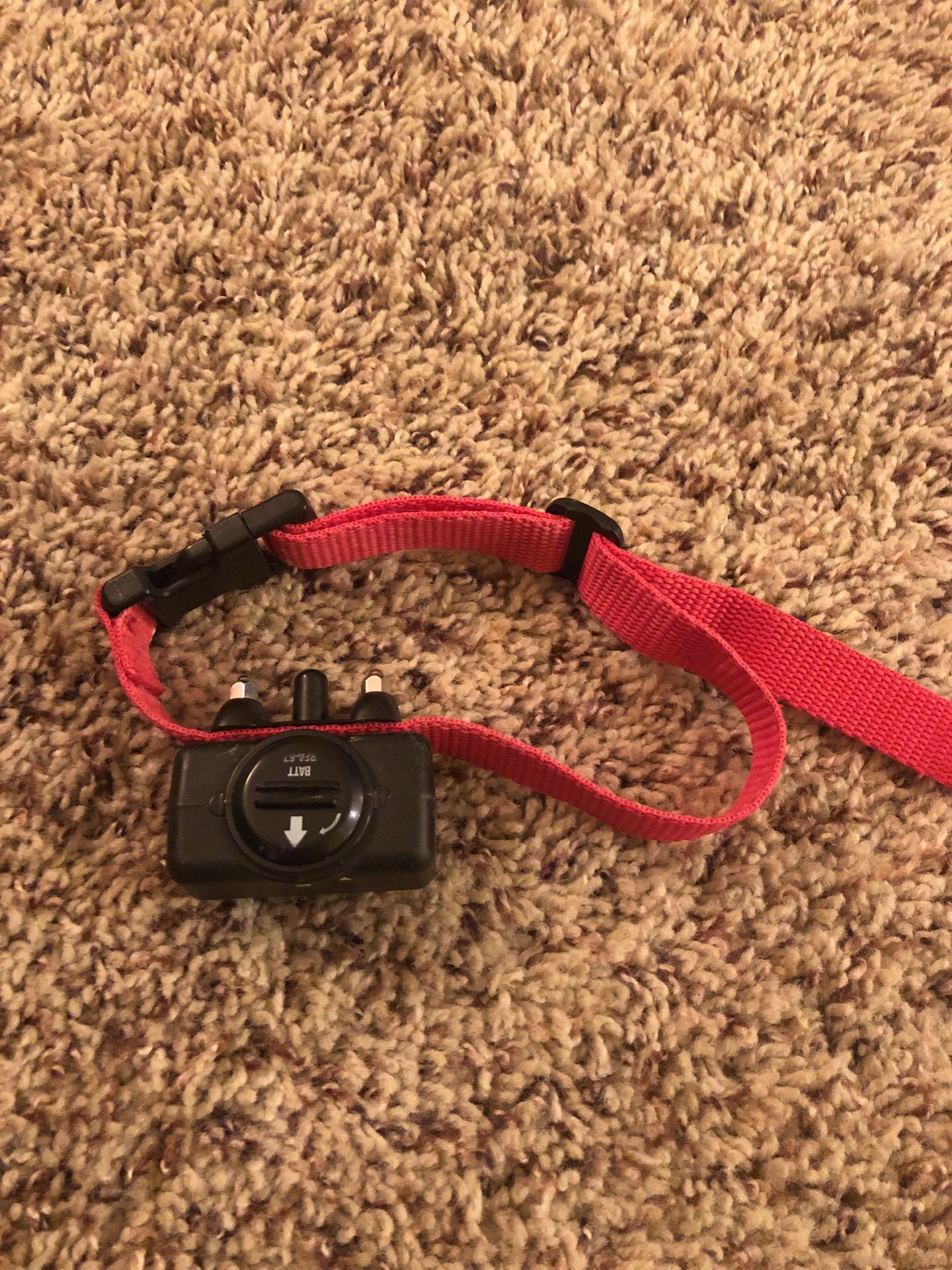 Dog training collar